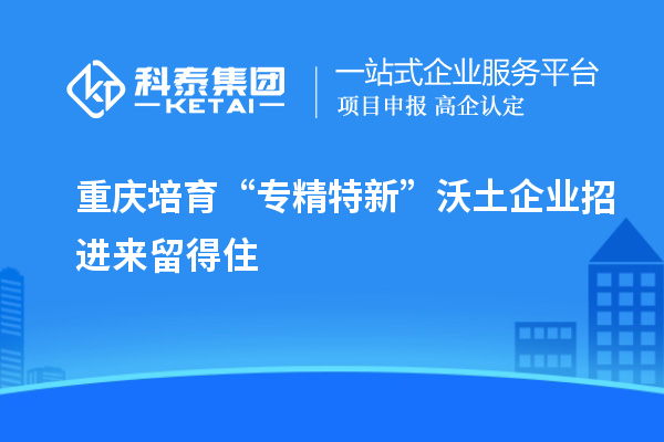 重慶培育“專精特新”沃土 企業(yè)招進來留得住