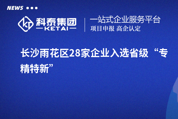 長(cháng)沙雨花區28家企業(yè)入選省級“專(zhuān)精特新”