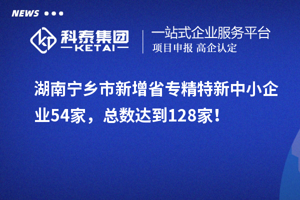 湖南寧鄉市新增省專(zhuān)精特新中小企業(yè)54家，總數達到128家！