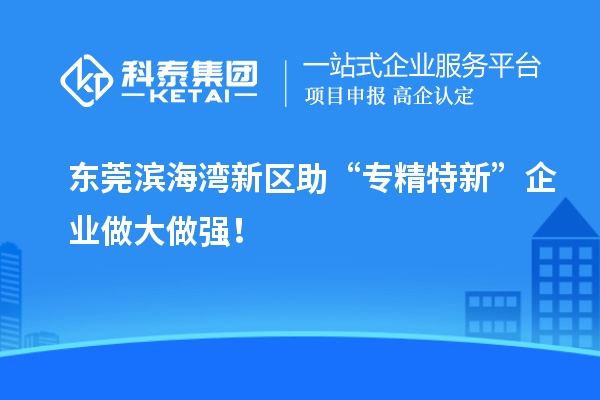 東莞濱海灣新區助“專(zhuān)精特新”企業(yè)做大做強！