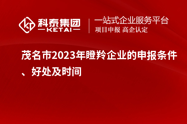 茂名市2023年瞪羚企業(yè)的申報條件、好處及時(shí)間