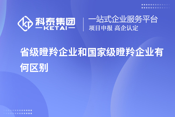 省級瞪羚企業(yè)和國家級瞪羚企業(yè)有何區別