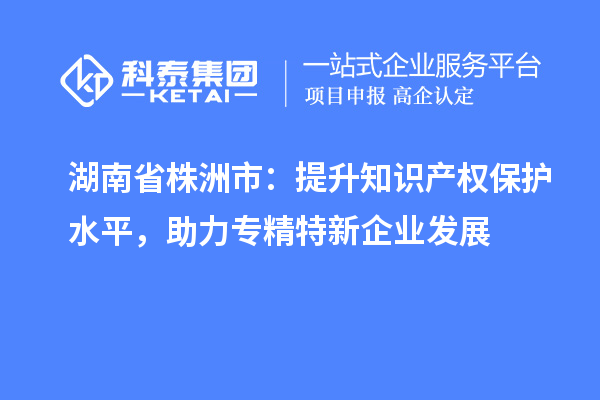 湖南省株洲市：提升知識產(chǎn)權保護水平，助力專(zhuān)精特新企業(yè)發(fā)展