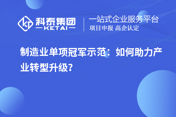 制造業(yè)單項冠軍示范：如何助力產(chǎn)業(yè)轉型升級？