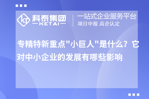 專精特新重點(diǎn)"小巨人"是什么？它對(duì)中小企業(yè)的發(fā)展有哪些影響