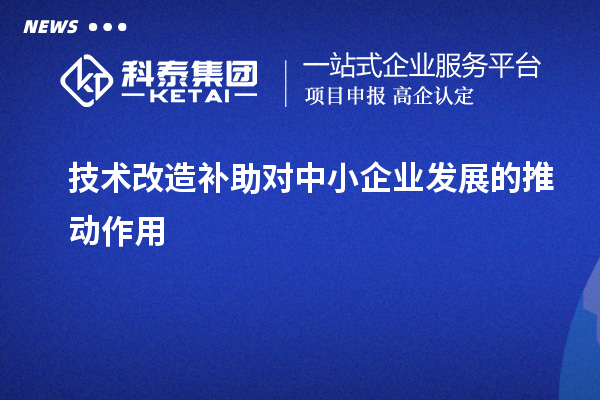  技術(shù)改造補(bǔ)助對中小企業(yè)發(fā)展的推動作用