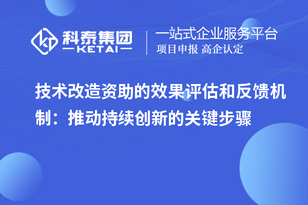 技術(shù)改造資助的效果評(píng)估和反饋機(jī)制：推動(dòng)持續(xù)創(chuàng)新的關(guān)鍵步驟