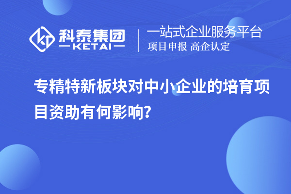 專(zhuān)精特新板塊對中小企業(yè)的培育項目資助有何影響？