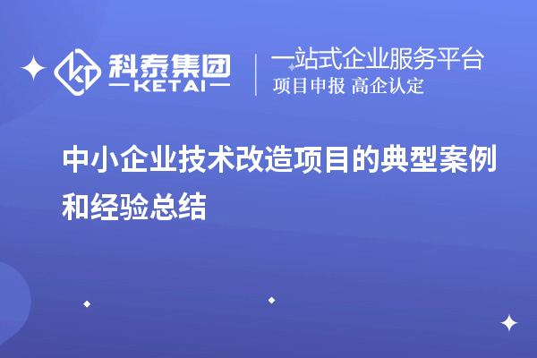 中小企業(yè)技術改造項目的典型案例和經驗總結