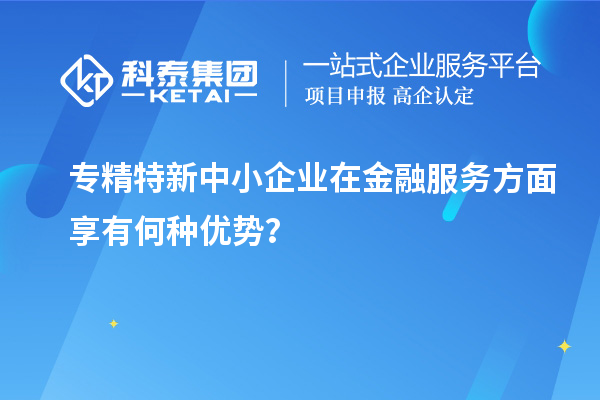 專(zhuān)精特新中小企業(yè)在金融服務(wù)方面享有何種優(yōu)勢？