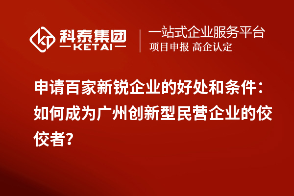 申請百家新銳企業(yè)的好處和條件：如何成為廣州創(chuàng  )新型民營(yíng)企業(yè)的佼佼者？