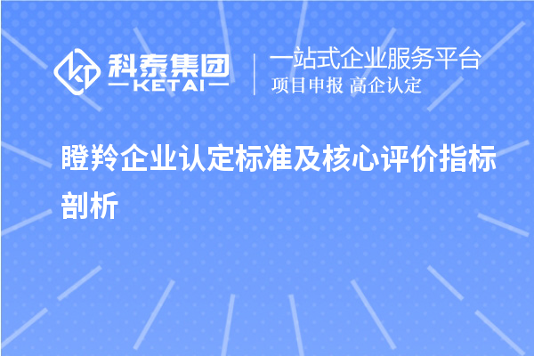 <a href=http://qiyeqqexmail.cn/fuwu/dengling.html target=_blank class=infotextkey>瞪羚企業(yè)認定</a>標準及核心評價(jià)指標剖析		 		