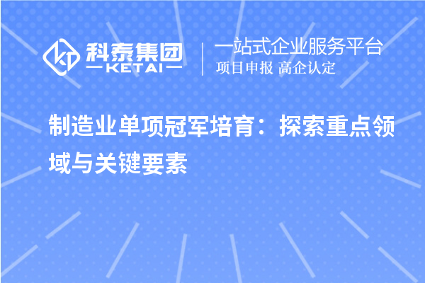 制造業(yè)單項冠軍培育：探索重點(diǎn)領(lǐng)域與關(guān)鍵要素