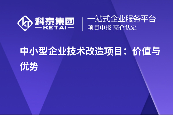 中小型企業(yè)技術(shù)改造項(xiàng)目：價(jià)值與優(yōu)勢(shì)	 		