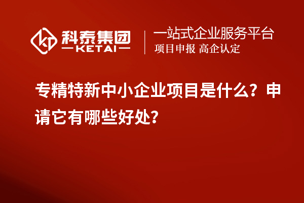 專精特新中小企業(yè)項(xiàng)目是什么？申請它有哪些好處？