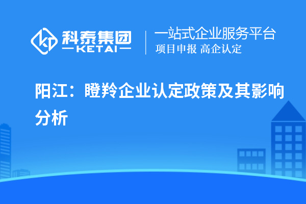 陽(yáng)江：瞪羚企業(yè)認定政策及其影響分析