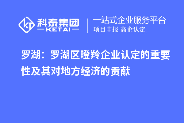 羅湖：羅湖區(qū)瞪羚企業(yè)認定的重要性及其對地方經(jīng)濟的貢獻