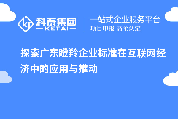 探索廣東瞪羚企業(yè)標(biāo)準(zhǔn)在互聯(lián)網(wǎng)經(jīng)濟(jì)中的應(yīng)用與推動(dòng)