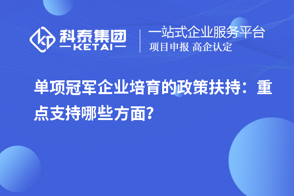 單項冠軍企業(yè)培育的政策扶持：重點支持哪些方面？