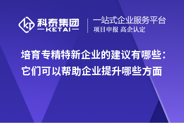 培育專(zhuān)精特新企業(yè)的建議有哪些：它們可以幫助企業(yè)提升哪些方面