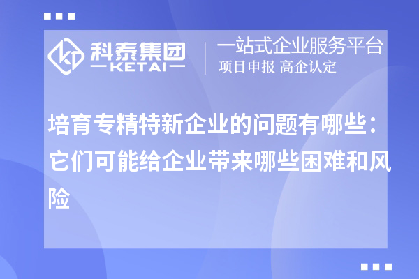 培育專(zhuān)精特新企業(yè)的問(wèn)題有哪些：它們可能給企業(yè)帶來(lái)哪些困難和風(fēng)險