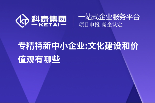 專精特新中小企業(yè):文化建設(shè)和價值觀有哪些