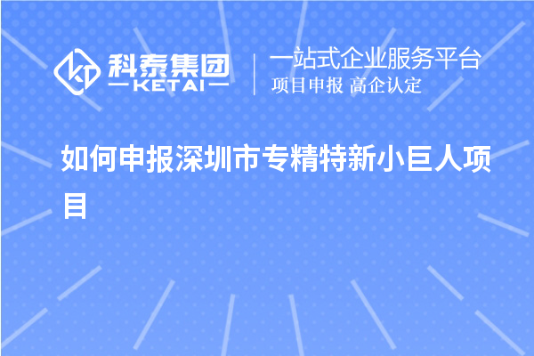 如何申報(bào)深圳市專精特新小巨人項(xiàng)目