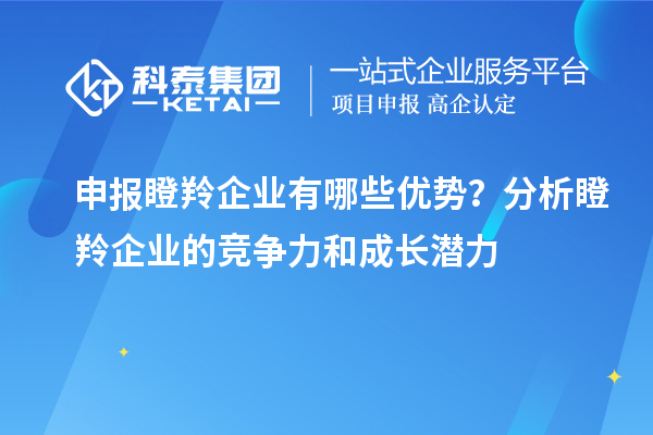 申報瞪羚企業(yè)有哪些優(yōu)勢？分析瞪羚企業(yè)的競爭力和成長(cháng)潛力