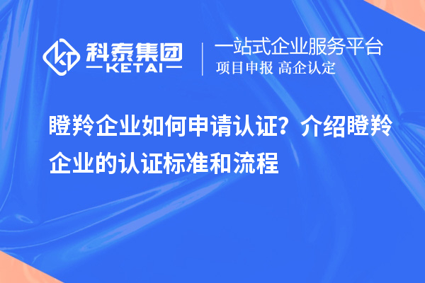 瞪羚企業(yè)如何申請(qǐng)認(rèn)證？介紹瞪羚企業(yè)的認(rèn)證標(biāo)準(zhǔn)和流程