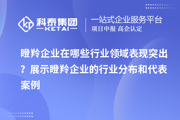 瞪羚企業(yè)在哪些行業(yè)領(lǐng)域表現(xiàn)突出？展示瞪羚企業(yè)的行業(yè)分布和代表案例