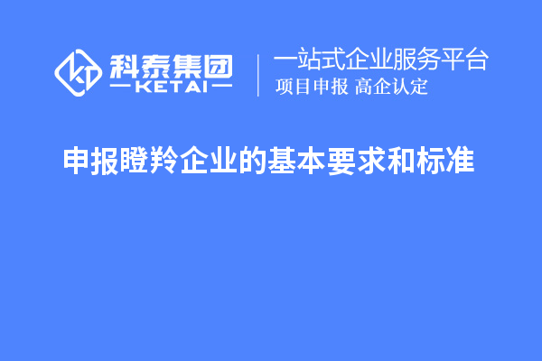 申報(bào)瞪羚企業(yè)的基本要求和標(biāo)準(zhǔn)