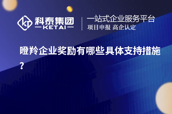 瞪羚企業(yè)獎勵有哪些具體支持措施？