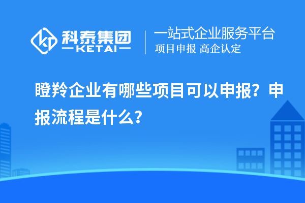 瞪羚企業(yè)有哪些項目可以申報？申報流程是什么？