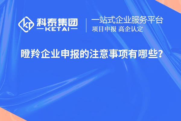 瞪羚企業(yè)申報的注意事項有哪些？