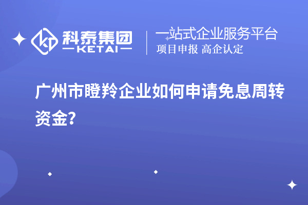 廣州市瞪羚企業(yè)如何申請(qǐng)免息周轉(zhuǎn)資金？