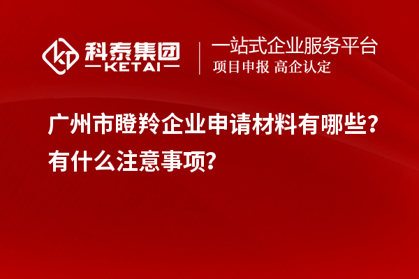 廣州市瞪羚企業(yè)申請材料有哪些？有什么注意事項？