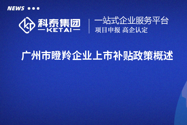 廣州市瞪羚企業(yè)上市補貼政策概述