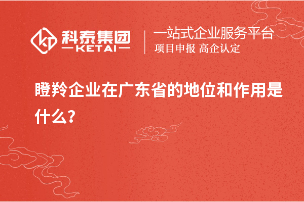 瞪羚企業(yè)在廣東省的地位和作用是什么？