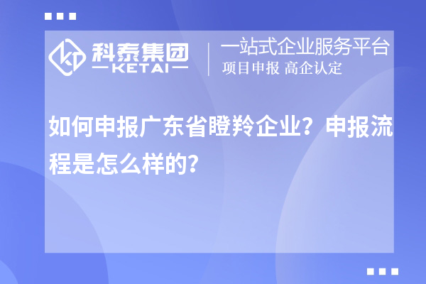 如何申報廣東省瞪羚企業(yè)？申報流程是怎么樣的？