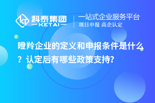 瞪羚企業(yè)的定義和申報條件是什么？認定后有哪些政策支持？