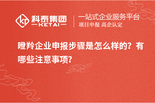 瞪羚企業(yè)申報步驟是怎么樣的？有哪些注意事項？