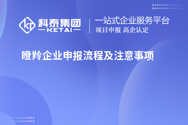 瞪羚企業(yè)申報流程及注意事項