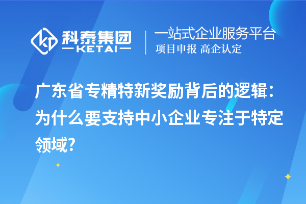 廣東省專(zhuān)精特新獎(jiǎng)勵(lì)背后的邏輯：為什么要支持中小企業(yè)專(zhuān)注于特定領(lǐng)域?