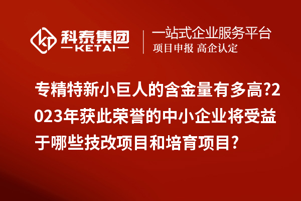 專(zhuān)精特新小巨人的含金量有多高?2023年獲此榮譽(yù)的中小企業(yè)將受益于哪些技改項目和培育項目?