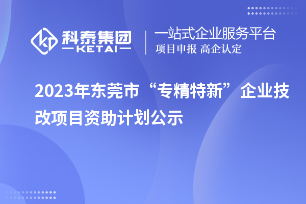 2023年東莞市“專精特新”企業(yè)技改項(xiàng)目資助計(jì)劃公示