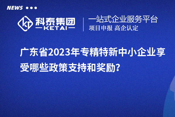 廣東省2023年專(zhuān)精特新中小企業(yè)享受哪些政策支持和獎勵？