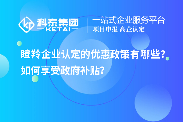 <a href=http://qiyeqqexmail.cn/fuwu/dengling.html target=_blank class=infotextkey>瞪羚企業(yè)認(rèn)定</a>的優(yōu)惠政策有哪些？如何享受政府補(bǔ)貼？