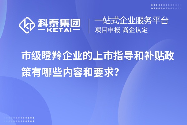 市級(jí)瞪羚企業(yè)的上市指導(dǎo)和補(bǔ)貼政策有哪些內(nèi)容和要求？