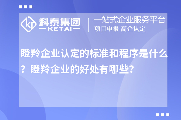 <a href=http://qiyeqqexmail.cn/fuwu/dengling.html target=_blank class=infotextkey>瞪羚企業(yè)認(rèn)定</a>的標(biāo)準(zhǔn)和程序是什么？瞪羚企業(yè)的好處有哪些？