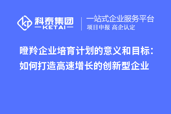 瞪羚企業(yè)培育計(jì)劃的意義和目標(biāo)：如何打造高速增長的創(chuàng)新型企業(yè)